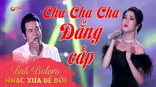 Lk Cha Cha Cha Cực Đỉnh CHẤN ĐỘNG NGƯỜI NGHE || Đan Lê || NHẠC VÀNG TRỮ TÌNH VƯỢT THỜI GIAN