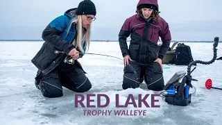 Early Ice Trophy Red Lake Walleye