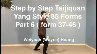 Step by Step Taijiquan: Yang style 85 forms - Part 6 (form 37-46), by Weiyuan Huang