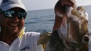 Pesca al pesce san Pietro, descrizione montatura e innesco.