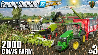 Harvesting SILAGE for 2000 COWS w/ CLAAS Jaguar | 2000 Cows Farm Ep.3 | Farming Simulator 22