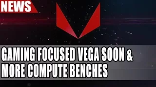 AMD Gaming Focused Vega Coming Soon & More Vega Compute Benches