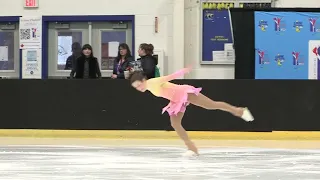 Adult Gold Freeskate 2022 Adult Nationals