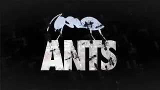 Best of ANTS 2015