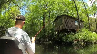 Beautiful Wekiva River Bassin'