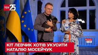 🐱 Наталію Мосейчук в прямому ефірі хотів "цапонути" кіт, якого приніс мер Андрій Садовий - ТСН