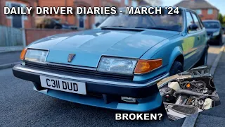 Daily Driver Diaries - 1985 Rover SD1 2600S - March '24