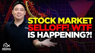 Stock Market Selloff! WTF is Happening?