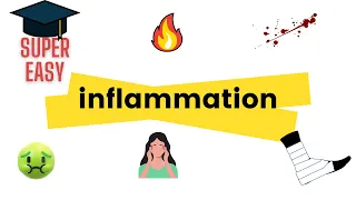 Inflammation Pathology | Inflammatory Response | Acute Inflammation | Chronic Inflammation |