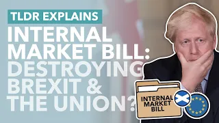 The Real Problem with the Internal Market Bill: Will it Destroy the Union & Brexit Deal? - TLDR News