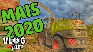 farmVLOG 162: Maisernte 2020 UND... Kartoffeln :D