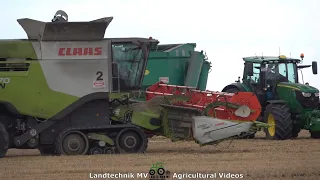 Claas - John Deere - Fendt / Getreideernte - Grain Harvest  2021