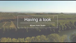 Having a look at Spanish Wines