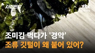 조미김 먹다가 '경악'…조류 깃털이 왜 붙어 있어? / JTBC 사건반장