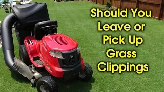 Should You Pick Up Grass Clippings