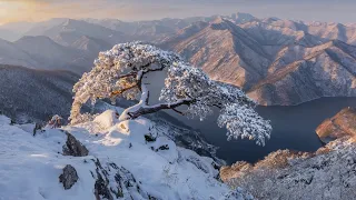 セルゲイ・チェカリン-驚くほど美しい冬のメロディーのPIANOコレクション。 雪の優しさ!!!