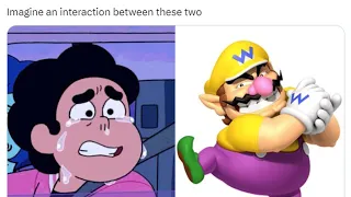 "Silly Steven, Wario Never Dies"