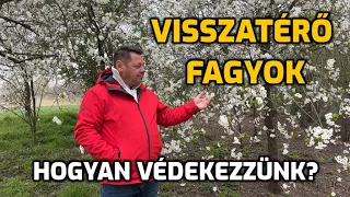 Tavaszi visszatérő fagyok elleni védekezés !!! / NYERTESEK KISORSOLÁSA!!