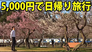 【予算5000円】ぶらり青春18きっぷの旅 水戸の偕楽園 梅まつり編