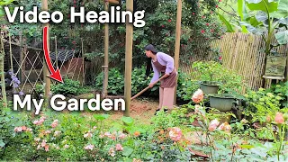 Healing Soul Video, Rural Life, Gardening, Planting Trees, Caring For Flowers, And Animals