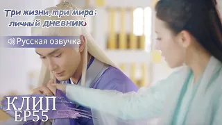 Пока я не умру, ты будешь моей женой❤️Три жизни,три мира:личный дневник 三生三世枕上书