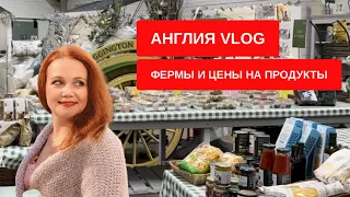 Продуктовая корзина в Англии Жизнь в английской деревне Влог из Англии