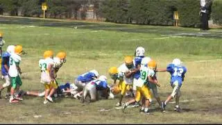 Patos Salvajes vs Gatos Salvajes J1 Falcons 2011.mpg