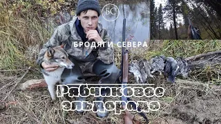 ОХОТА НА РЯБЧИКА В ЗОЛОТОМ ЛЕСУ.ВЫСЫПКИ ВАЛЬДШНЕПА/GROUSE HUNTING!