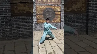 Rigidity and softness.#taichi #taijiquan #kungfu #wushu #sports