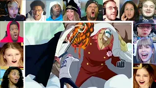 Shanks stops the war Reaction Mashup | One Piece episode 488 Reaction Mashup