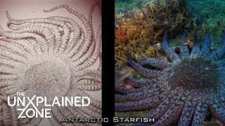 Ancient Aliens: Alien Life in the Ocean