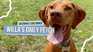 Hyperactive Dog's Daily Fetch Routine & thoughts on the essentials of being off-leash