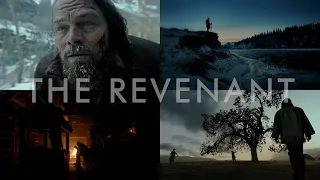 Amazing Shots of THE REVENANT