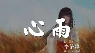 心雨 - 卓依婷『我的思念是不可觸摸的網』【動態歌詞Lyrics】