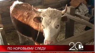 Губернии 20 лет. Новости 05/09/2018 GuberniaTV