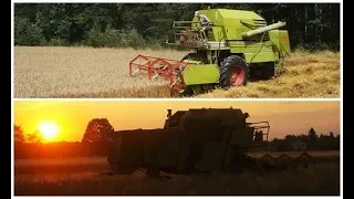 Żniwa 2019 - Claas Mercator / Ursus C-360