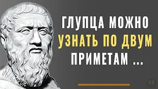 Платон, Мудрые слова которые стоит знать и помнить! Мудрость жизни в Цитатах и Афоризмах