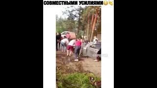 С такими соседями не чего не страшно😀😎