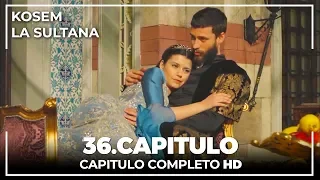 Kosem La Sultana | Capítulo 36