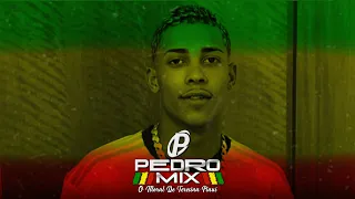 Vida Louca - MC Poze do Rodo (Reggae Remix 2021) DJ Pedro Mix