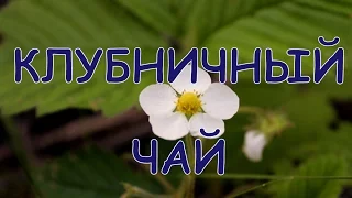 Клубничные рецепты - домашний чай. Клубничный чай из чашелистиков и листков молодой клубники.