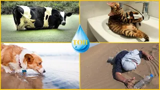 Дольше всех без воды - рекорды в мире животных!