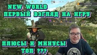 [New World] Первый взгляд на игру. Плюсы и минусы. ТОП ???