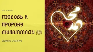 Любовь к Пророку Мухаммаду ﷺ. Шамиль Османов