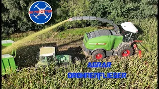 Mais Häckseln mit den Katana 850 von Fendt.