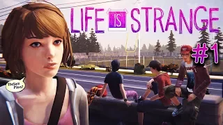 Life Is Strange - Эпизод 1: Хризалида #1