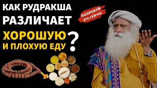 Как Рудракша может различать хорошую и плохую еду? | Солнечная | Лунный | Садхгуру русская мотивация