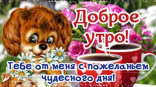 🌺☕️ Доброе утро! Тебе от меня! Желаю чудесного дня! Позитивчик для друзей!