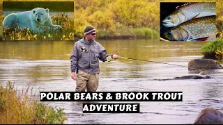 Polar Bears & Brook Trout