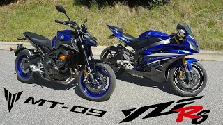 Yamaha MT-09 vs YZF R6 | SUPERSPORT or HYPER NAKED?